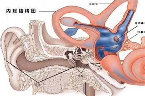 耳洞流水